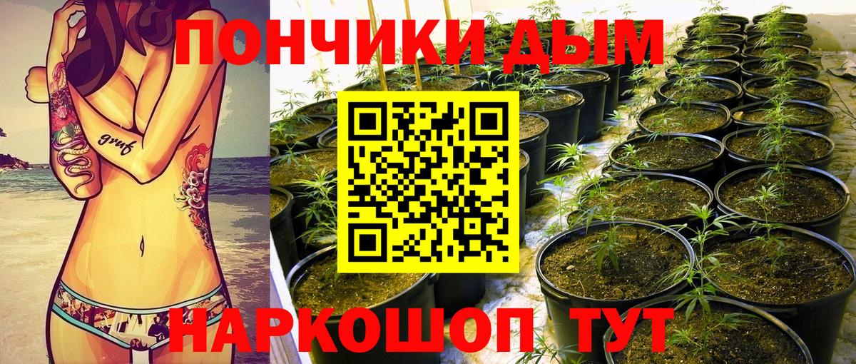 Бошки Шишки MAZAR Мелеуз